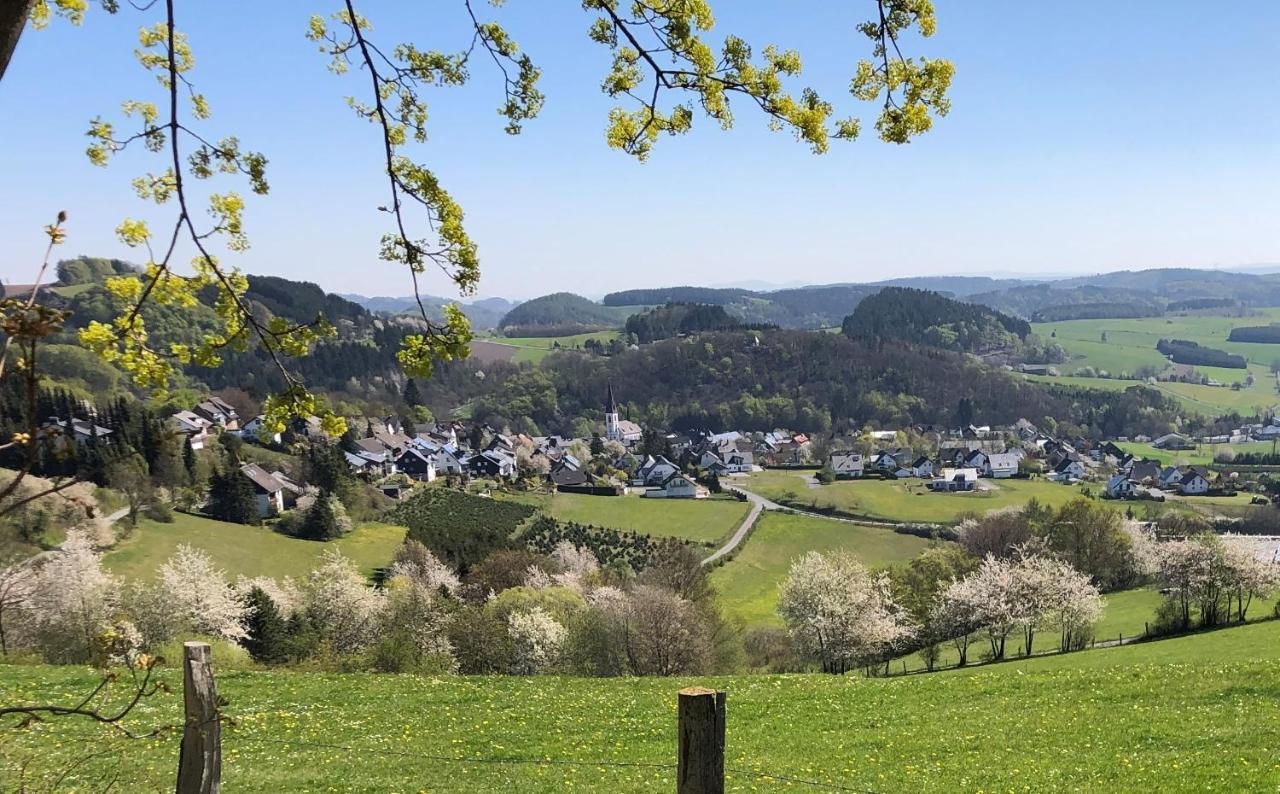 Fewo Auszeit Zum Anspel Medebach Exteriör bild